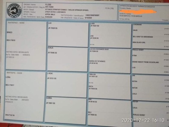132824734_3574941309253585_6764809174604079467_n