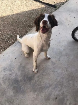 284080712_5155776757836691_7288950626368473798_n