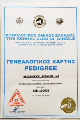 288478685_10222205981000821_5898479585408930129_n