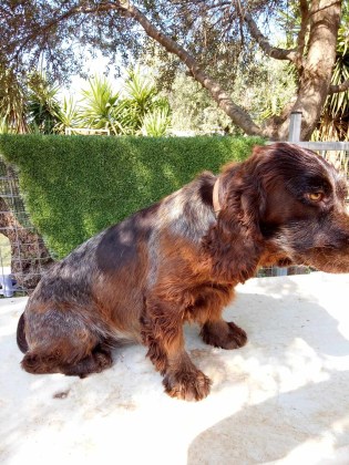 372844443_609410914703447_8695342712401879647_n