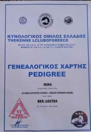 56337212_10218309219982766_4487742109897457664_n